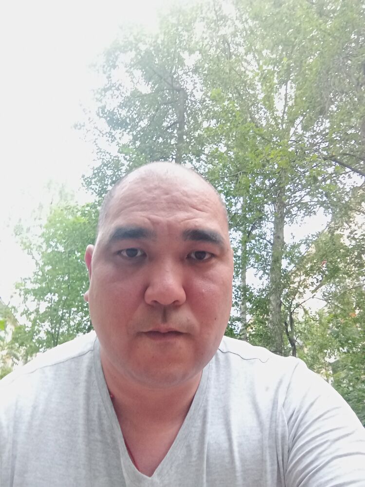  47787992  , 41 ,    