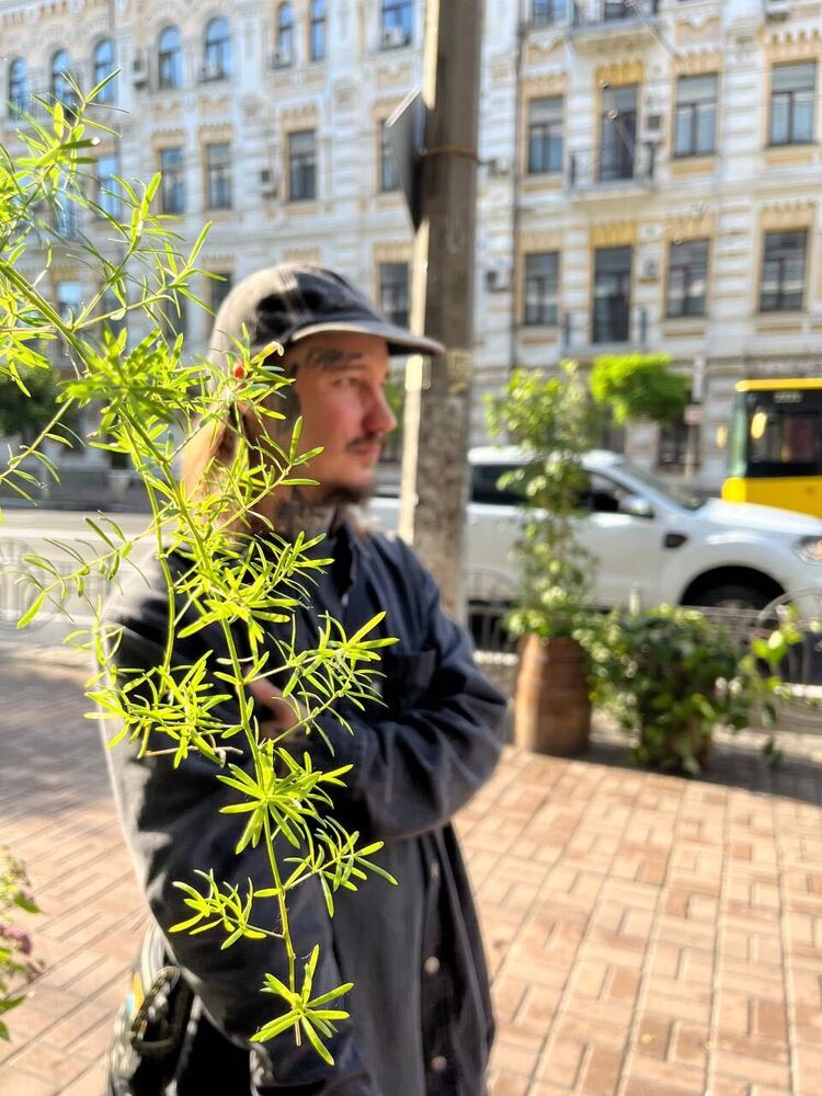 ���� 43647512 ������� ���������, 36 ���, ���� ���������� � �����