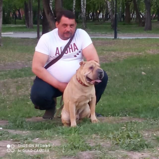 ���� 37373172 ������� ���������, 49 ���, ���� ���������� � ��������