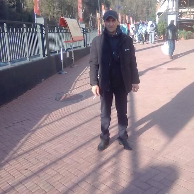  43558982  , 49 ,    