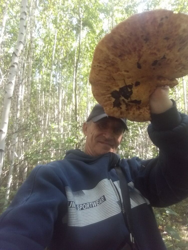  52525602  Igor, 55 ,    