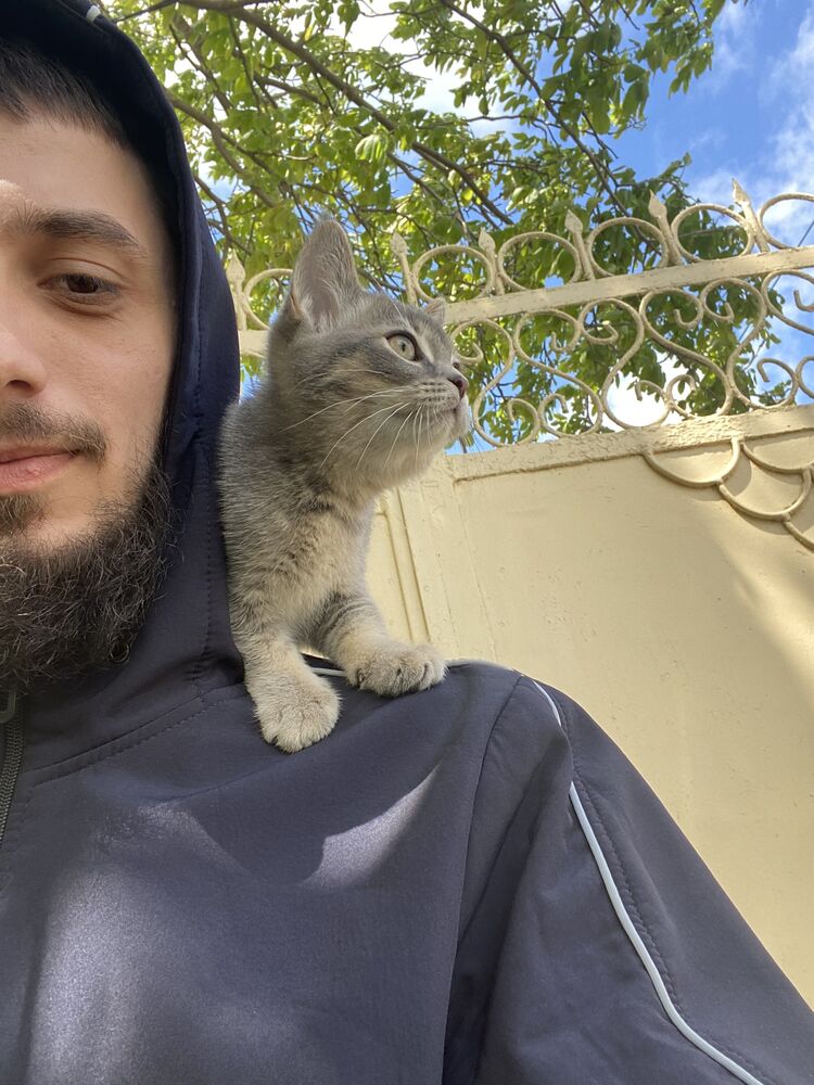 ���� 37613072 ������� �����, 29 ���, ���� ���������� � ������