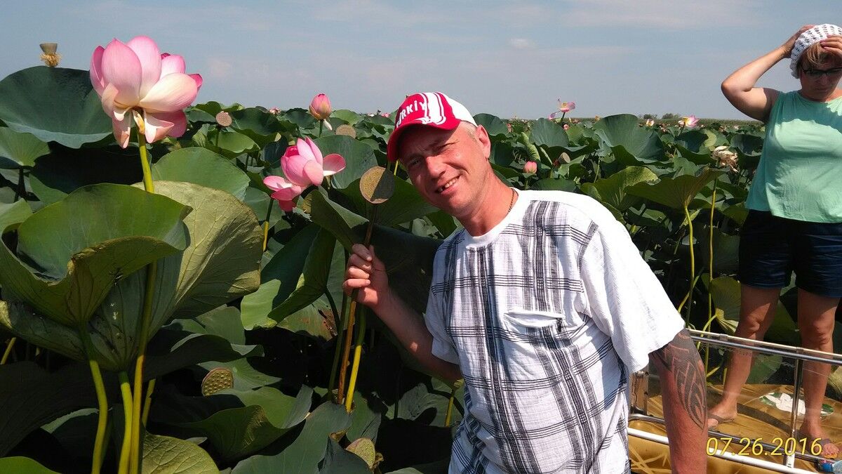 ���������� ������ �����, ���� ������� ����, 50 ���, ������������ ��� ������, ����� � ���������, c�������� ���������