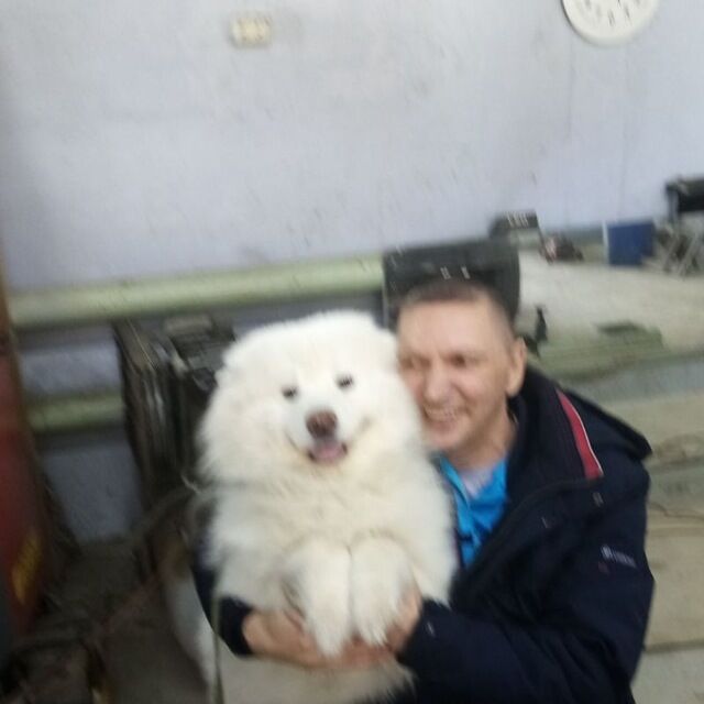  ,   , 51 ,   ,   