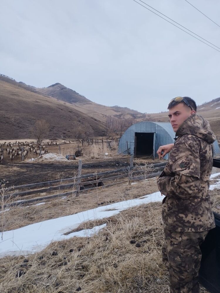 ���������� ������, ���� ����� ����, 24 ����, ������������ ��� ������, ����� � ���������, c�������� ���������