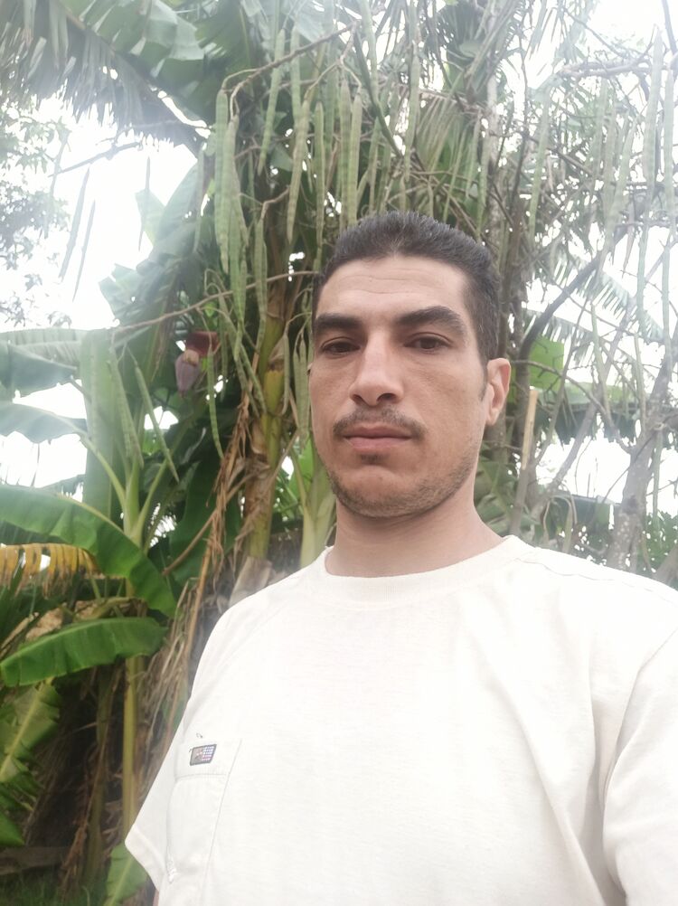  28121902  Mahmoud Atia, 41 ,    