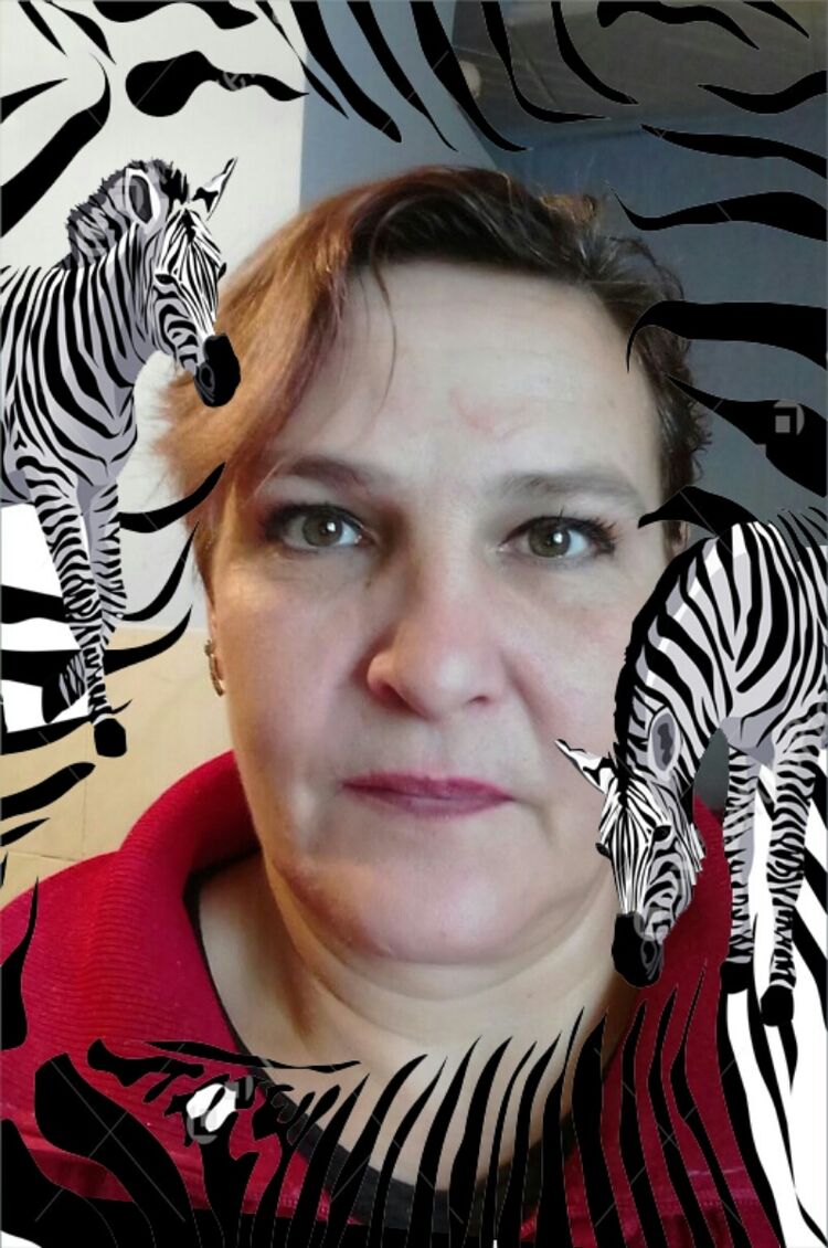 ���� 24896482 ������� ��������, 50 ���, ���� ���������� � ������