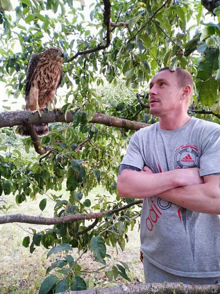 ���� 22862982 ������� �����, 40 ���, ���� ���������� � ������