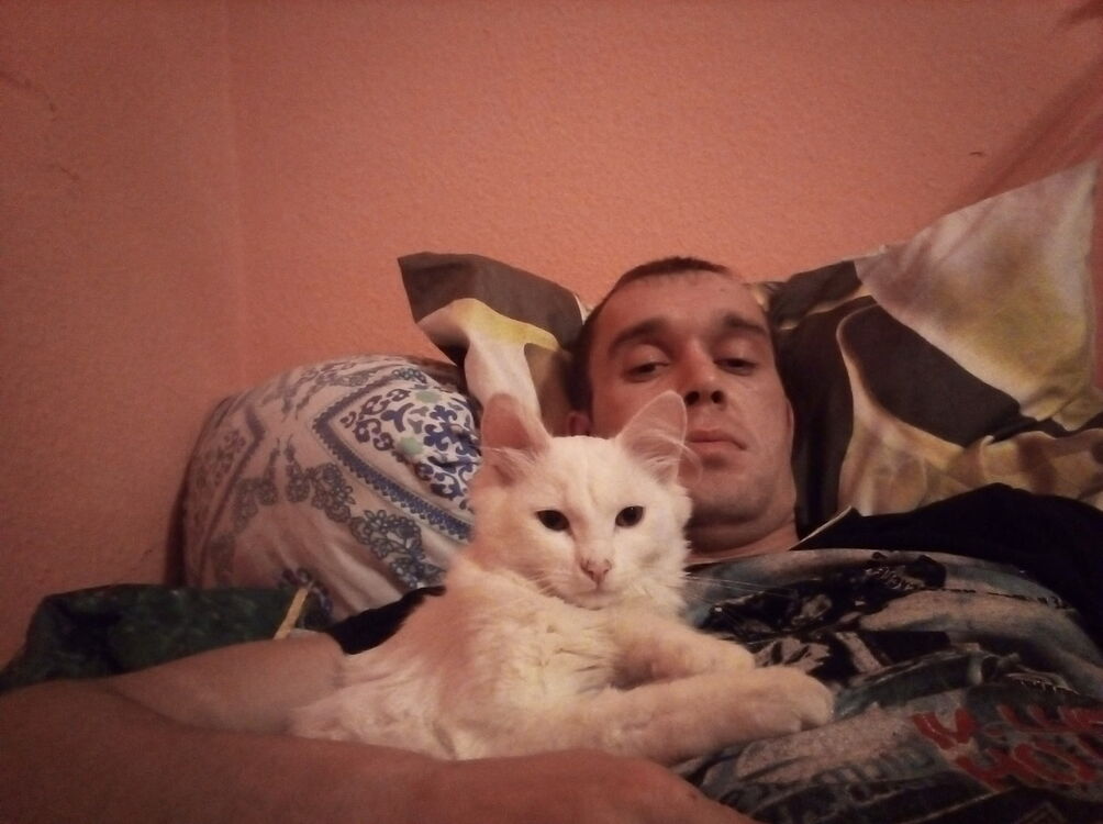  13798682  , 38 ,    -