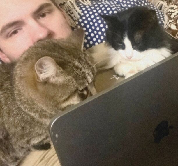 ���������� �����, ���� ����� ���������, 25 ���, ������������ ��� ������, ����� � ���������