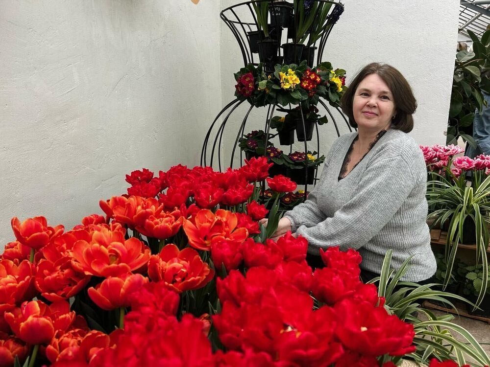 ���������� ���������, ���� ������� ������, 53 ����, ������������ ��� ����� � ���������, c�������� ���������, ���������