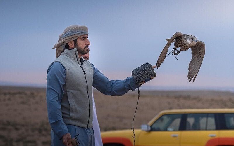 ���� 28626592 ������� ������, 33 ����, ���� ���������� � ��������