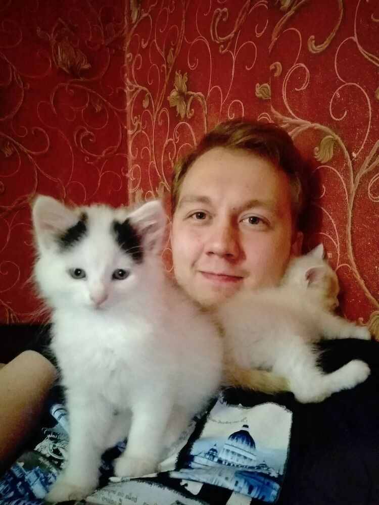 ���� 17143772 ������� ����, 27 ���, ���� ���������� � ���������