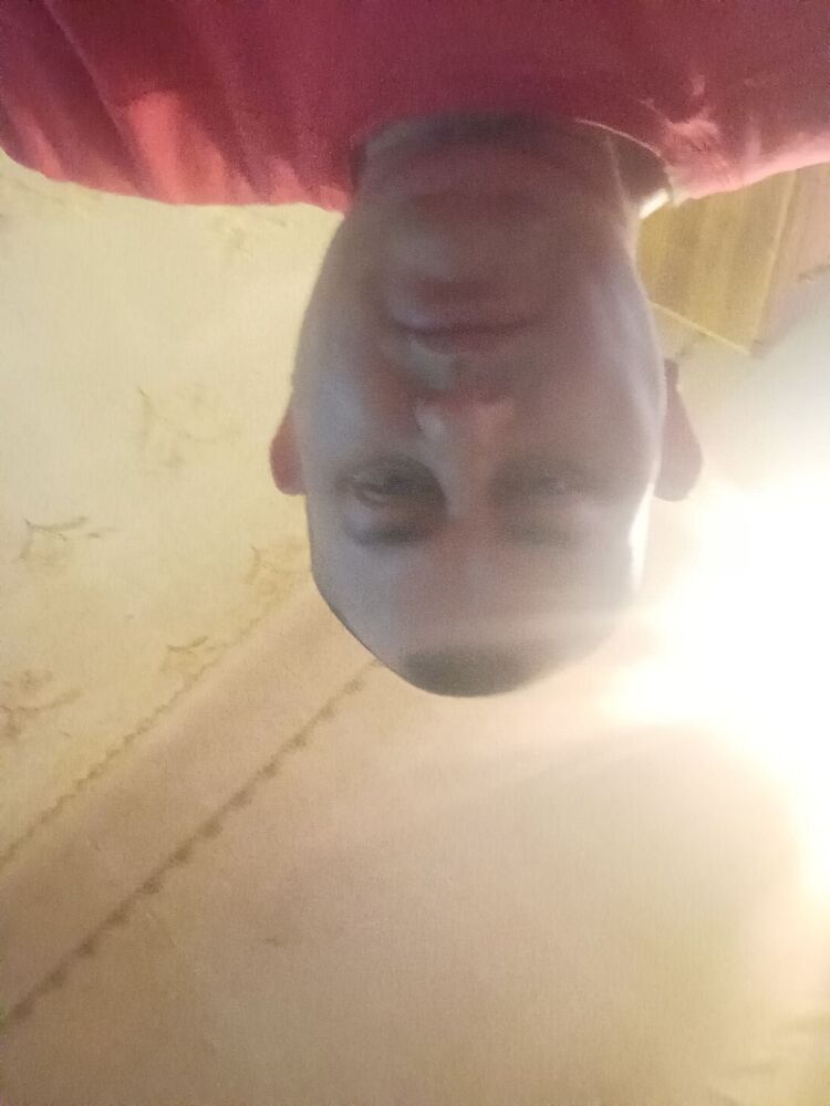  33582232  , 47 ,    