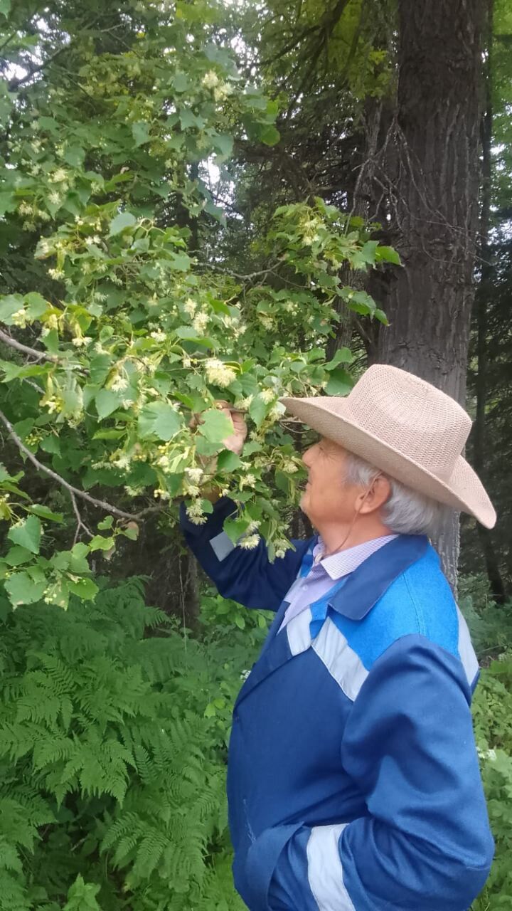 ���� 55200692 ������� Sem, 52 ����, ���� ���������� � ���������