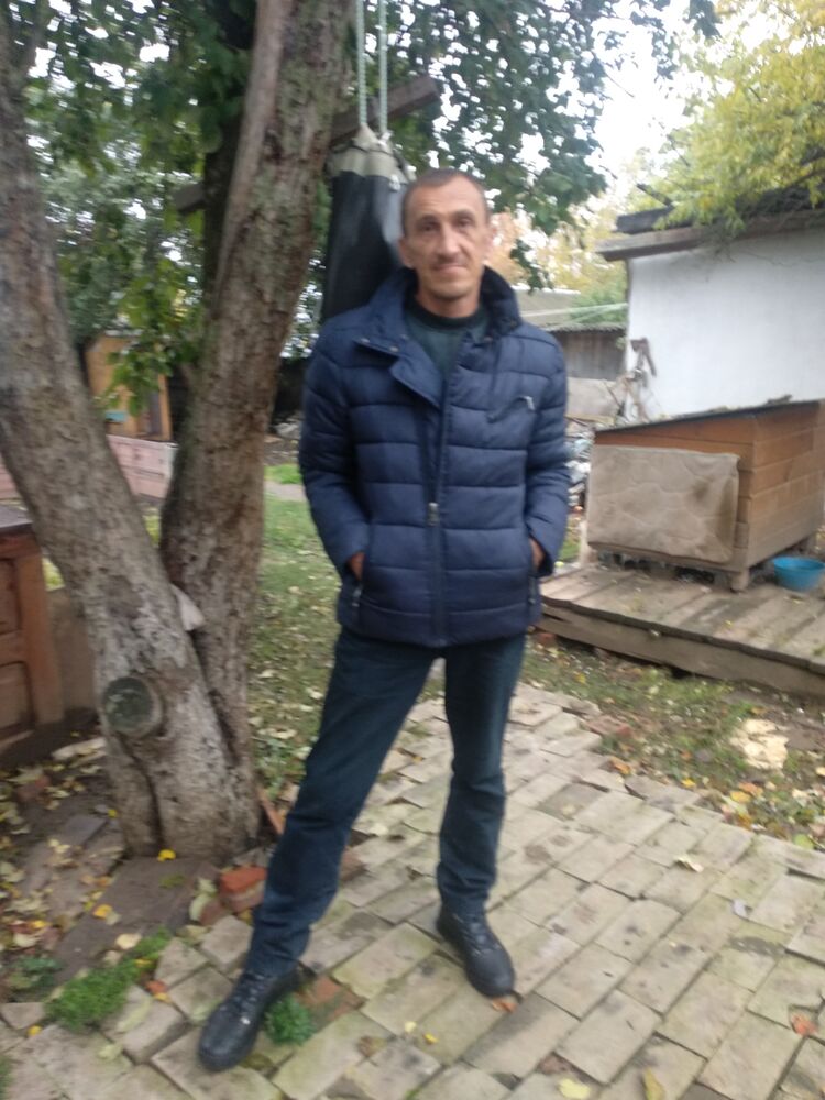  29650342  , 50 ,    