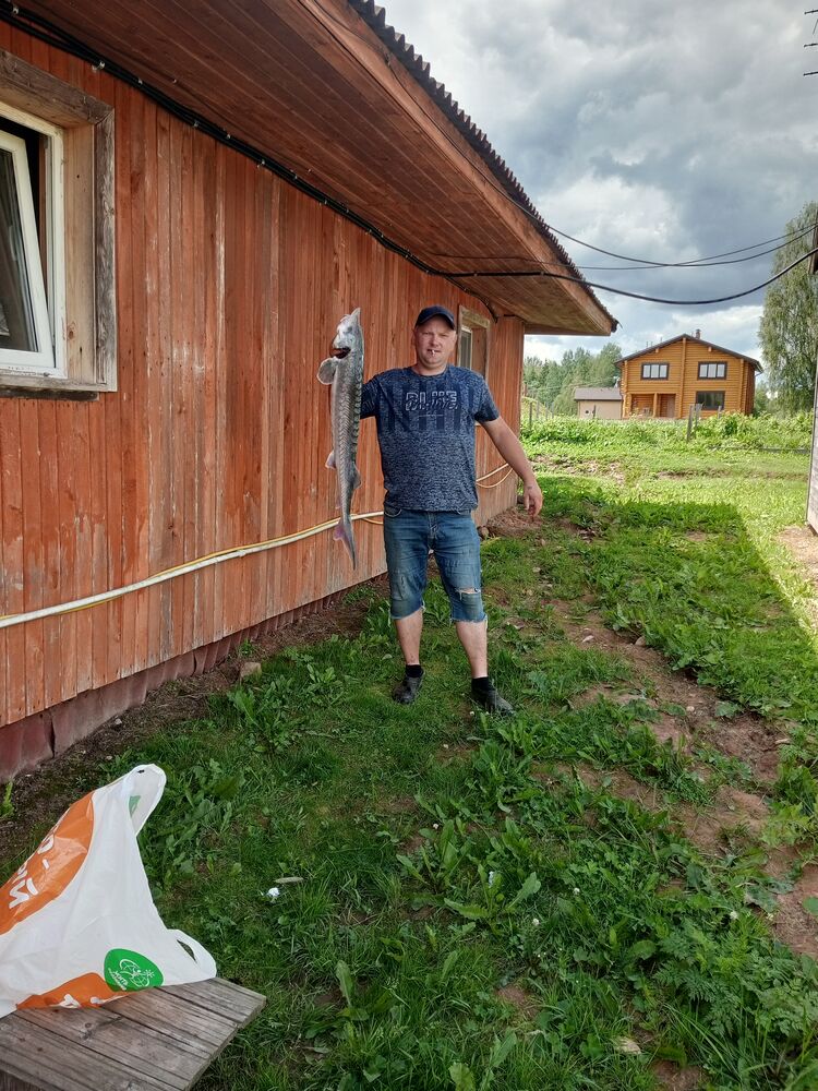 ���� 36565962 ������� ������, 39 ���, ���� ���������� � ������