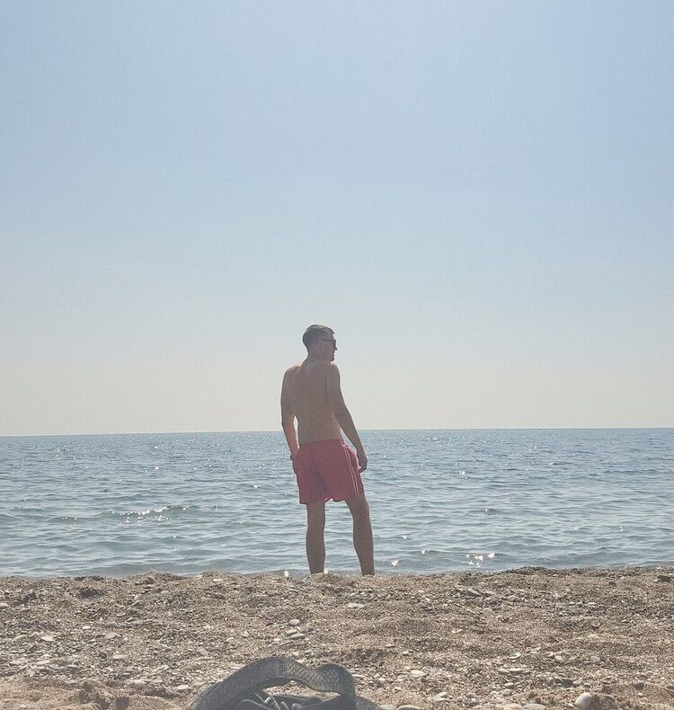 ���� 28647152 ������� ���, 34 ����, ���� ���������� � �����������