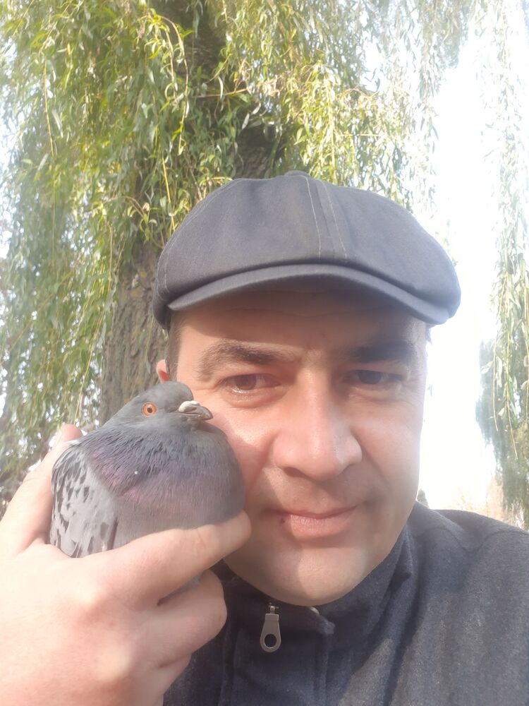 ���� 24273052 ������� �����, 44 ����, ���� ���������� � ������