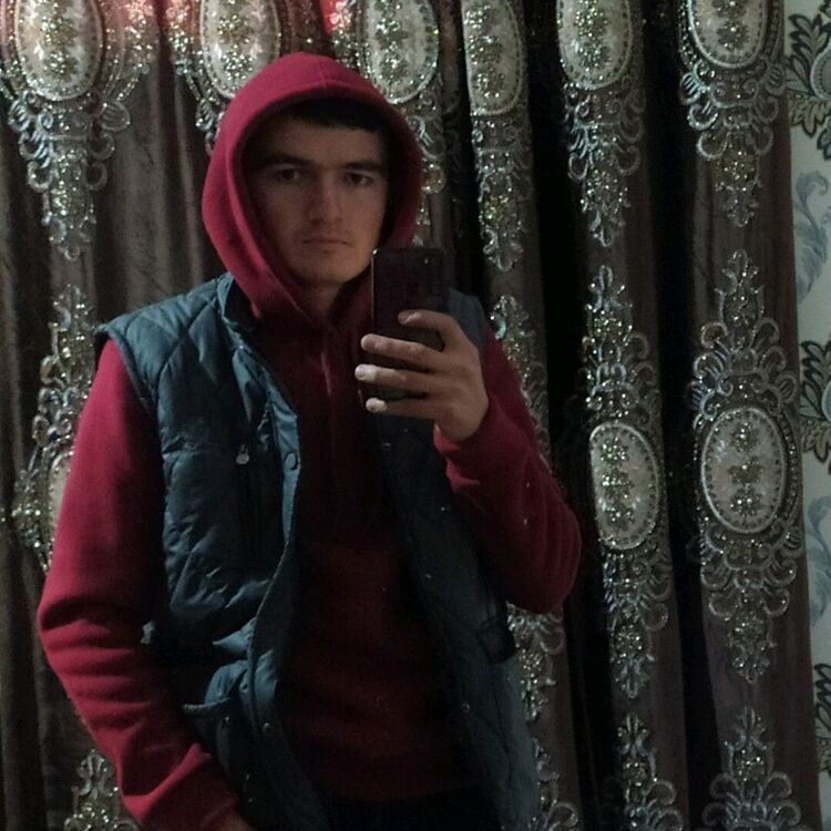  33361462  , 24 ,    -