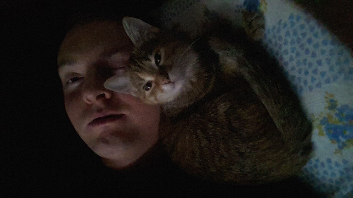 ���������� ����, ���� ������� �����, 44 ����, ������������ ��� ������, ����� � ���������, c�������� ���������