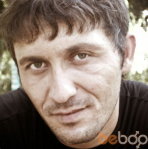  ,   Mishka, 41 ,   ,   , c 