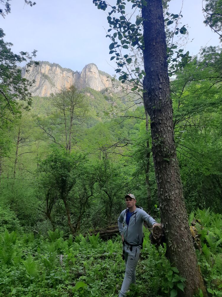 ���������� ���������, ���� ������� ���������, 41 ���, ������������ ��� ������, ����� � ���������, c�������� ���������, ���������