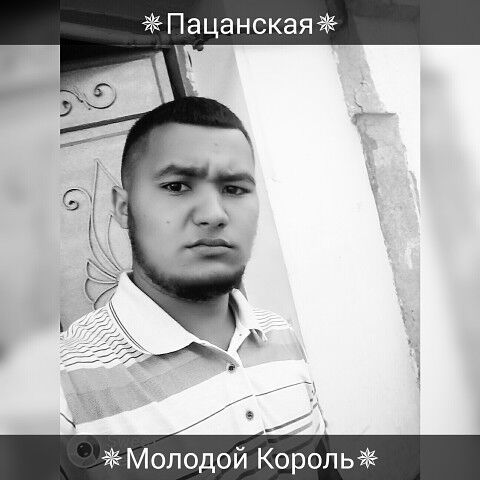  12682382  , 31 ,    