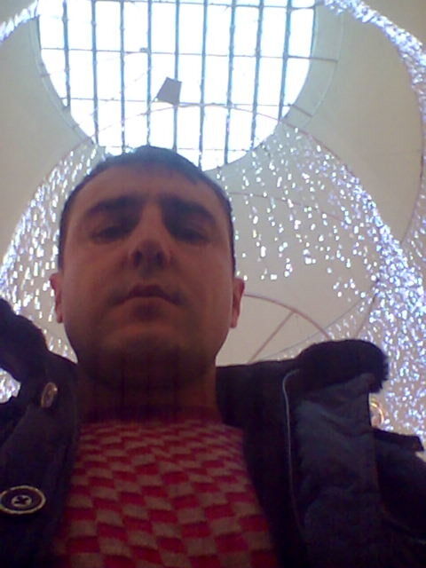  ,   , 41 ,  