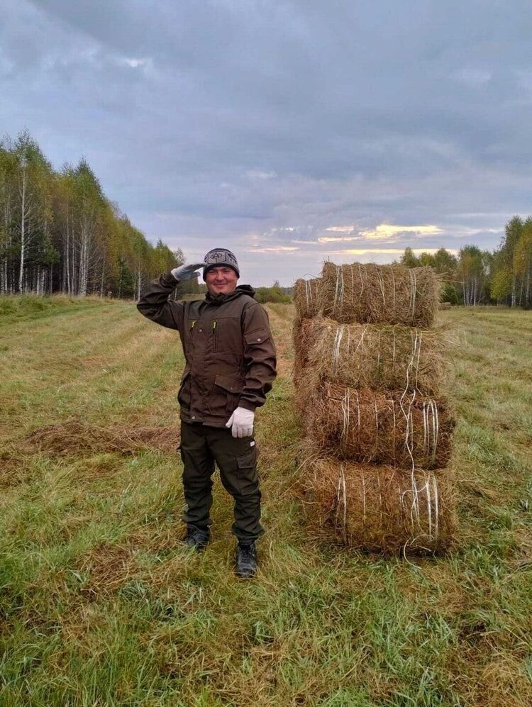 ���� 49709582 ������� �����, 33 ����, ���� ���������� � �����������