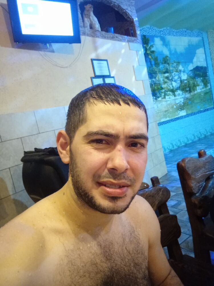  28064732  , 31 ,    