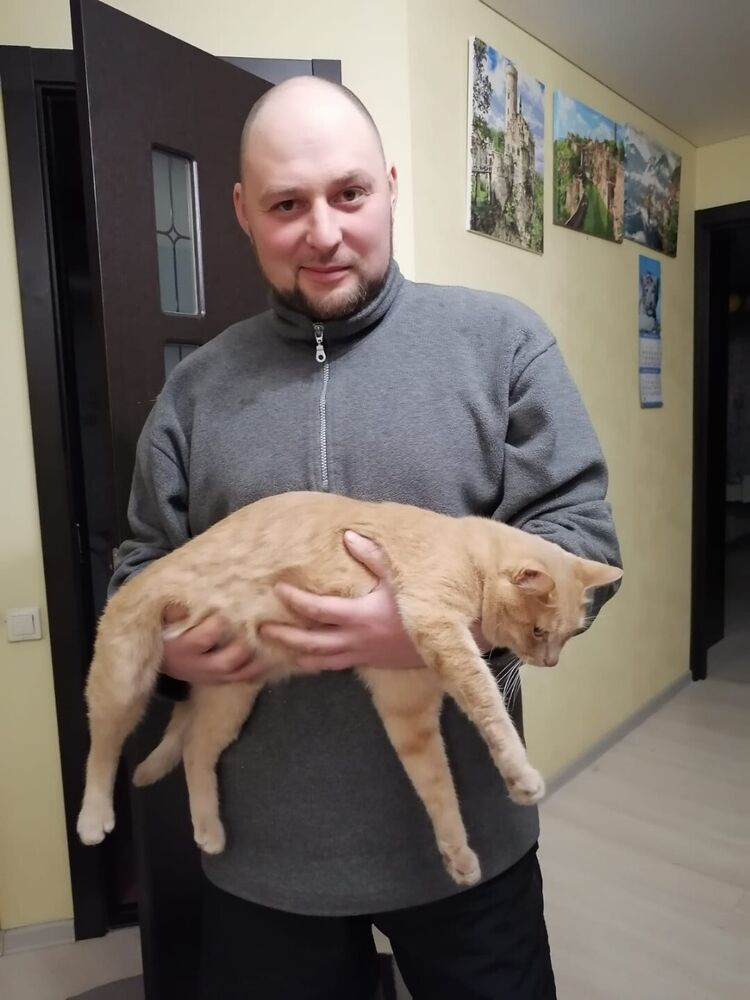  -,   , 36 ,   , 