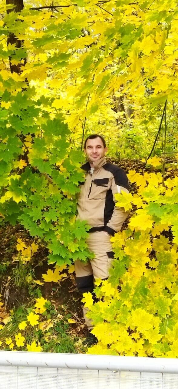 ���� 38266522 ������� �������, 45 ���, ���� ���������� � ������