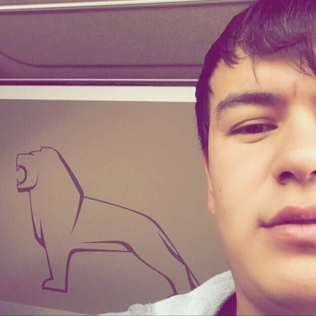 ���� 23291302 ������� FF, 29 ���, ���� ���������� � ����������