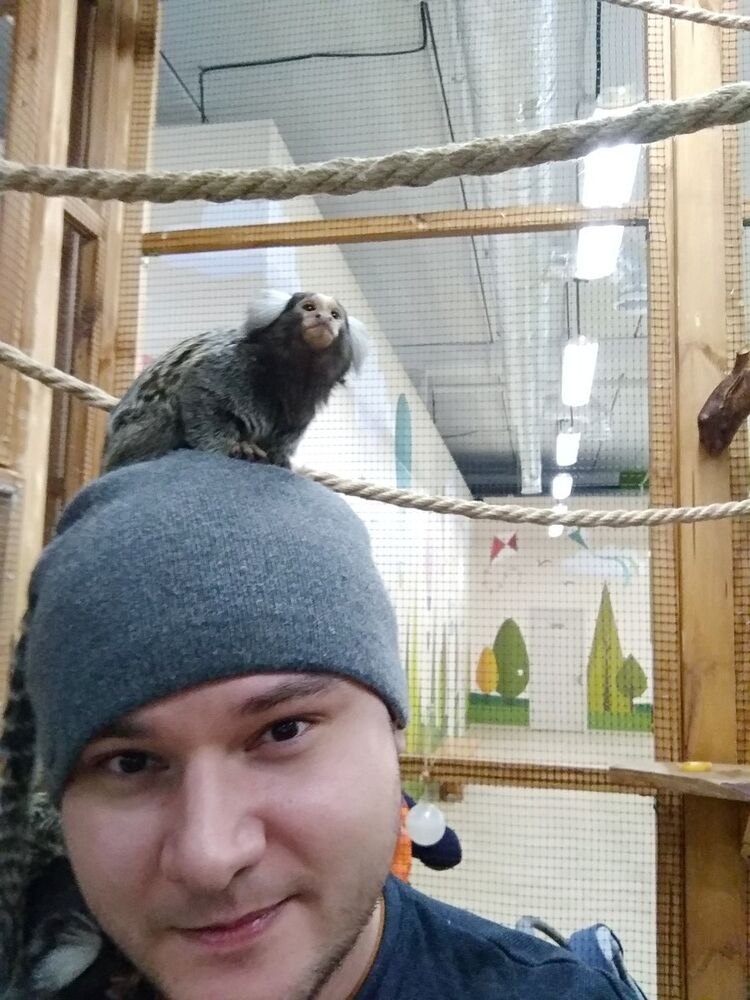 ���� 10837572 ������� �������, 37 ���, ���� ���������� � ������