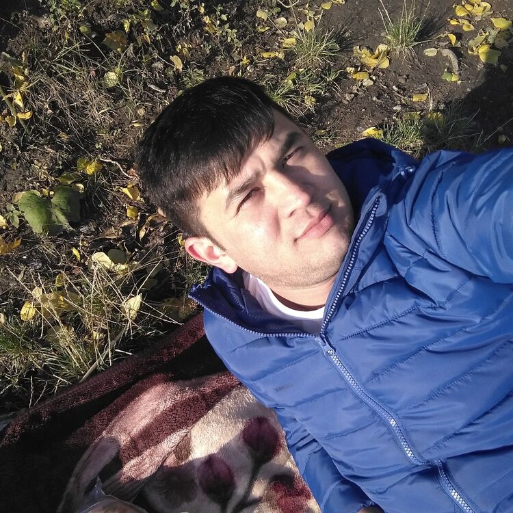  -,   , 33 ,   