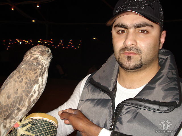  ,   OMAR, 59 ,   ,   , c 