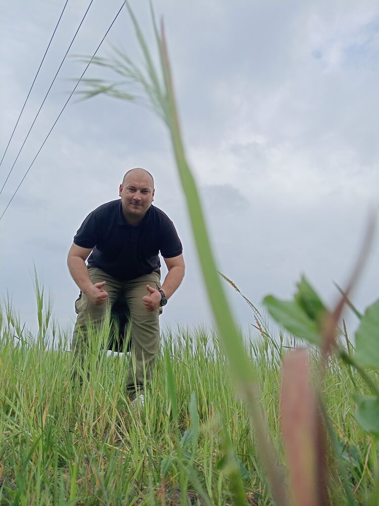 ���� 42869502 ������� ������, 31 ���, ���� ���������� � ����������