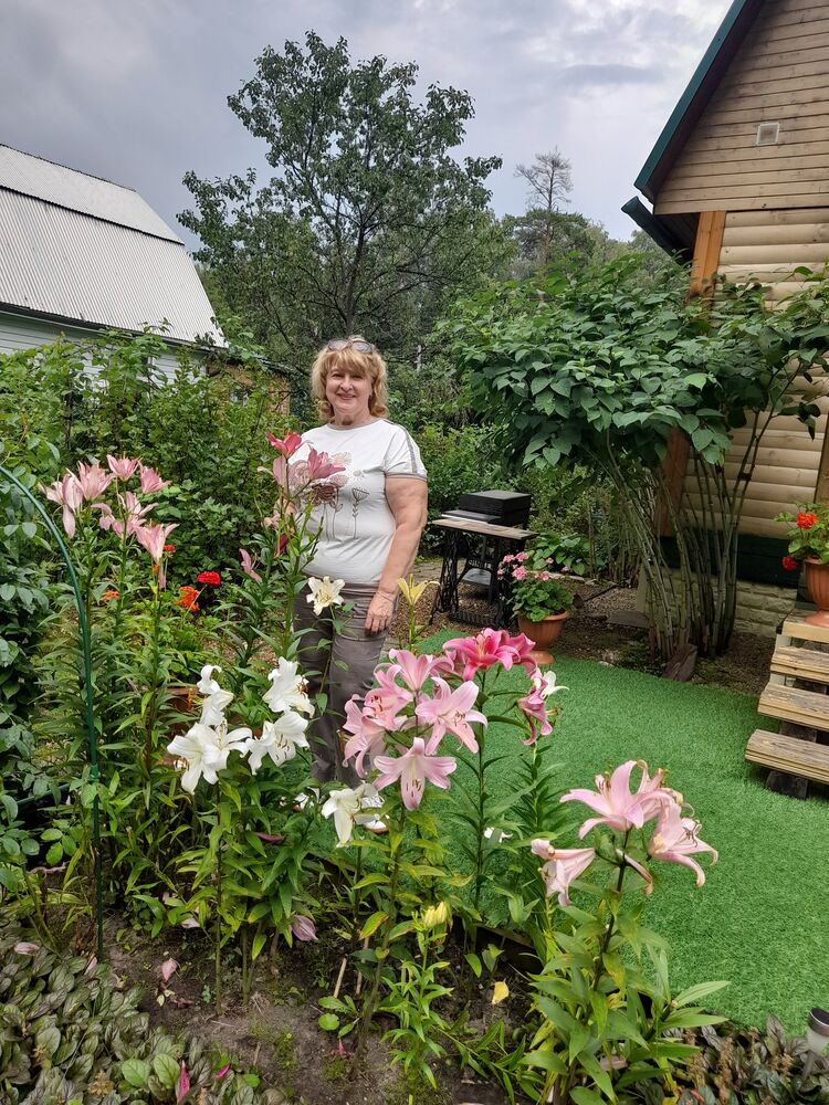 ���� 49576022 ������� ������, 65 ���, ���� ���������� � ������