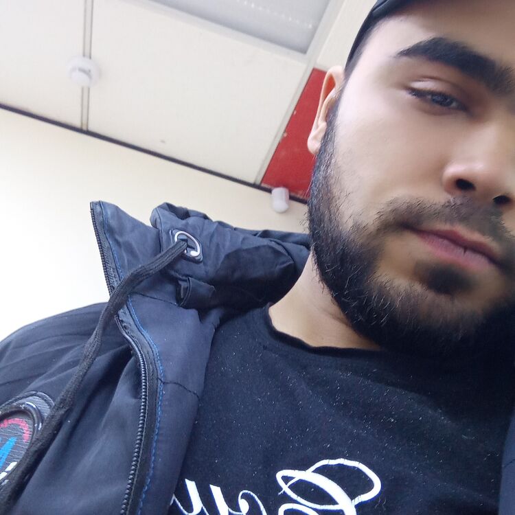  42406632  , 26 ,    