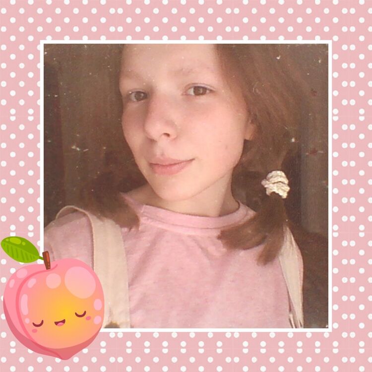  ,   , 24 ,     , c 