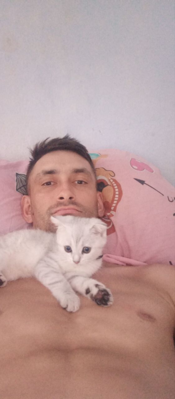  ,   , 37 ,   ,   , c , 