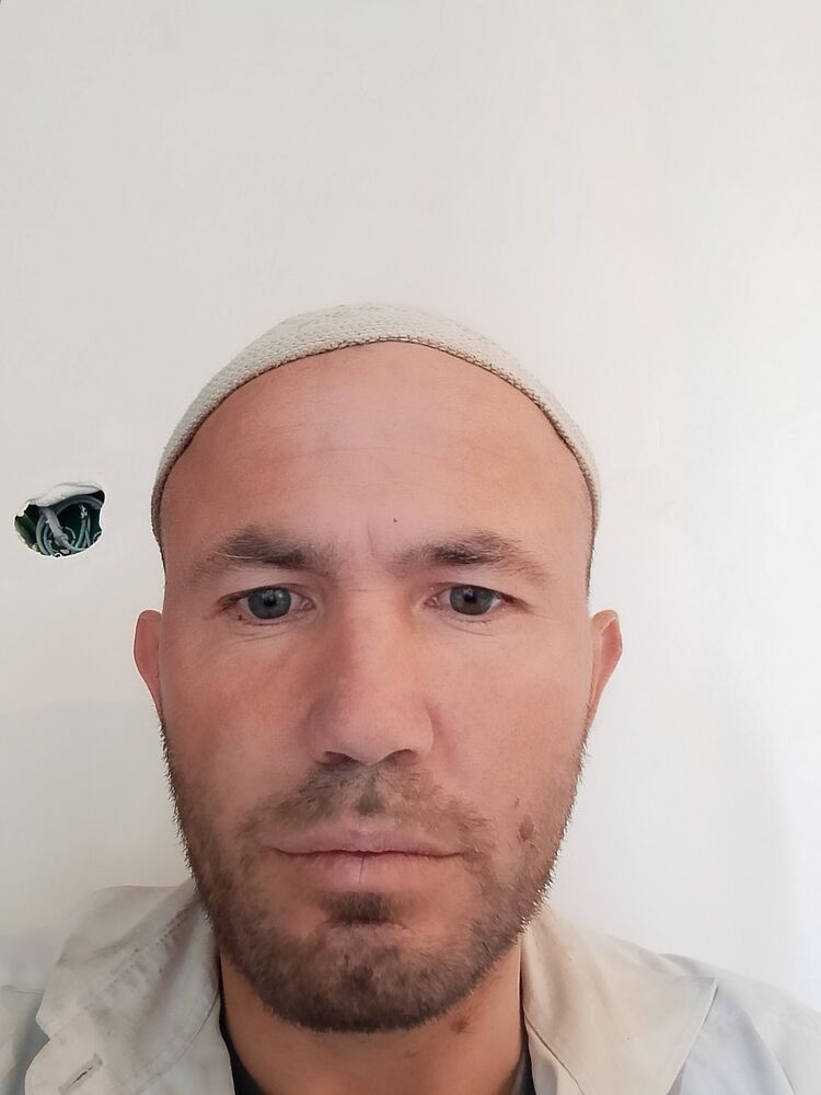  44569232  , 33 ,    