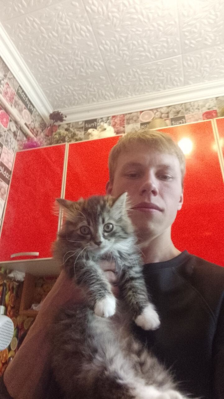 ���������� �������, ���� ����� ���������, 23 ����, ������������ ��� c�������� ���������