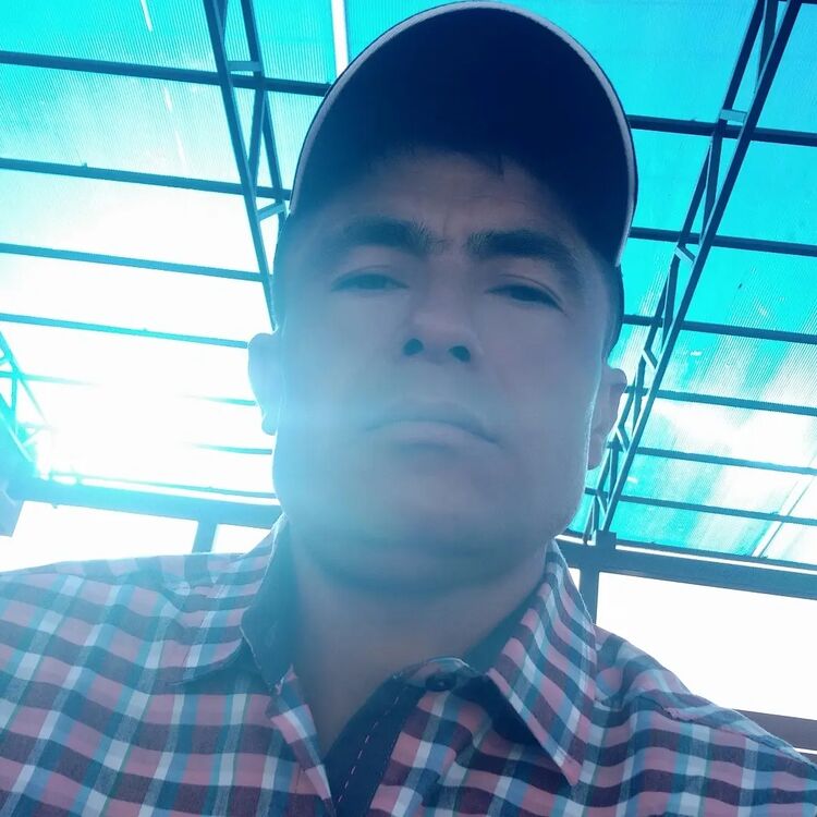  26498812  , 41 ,    