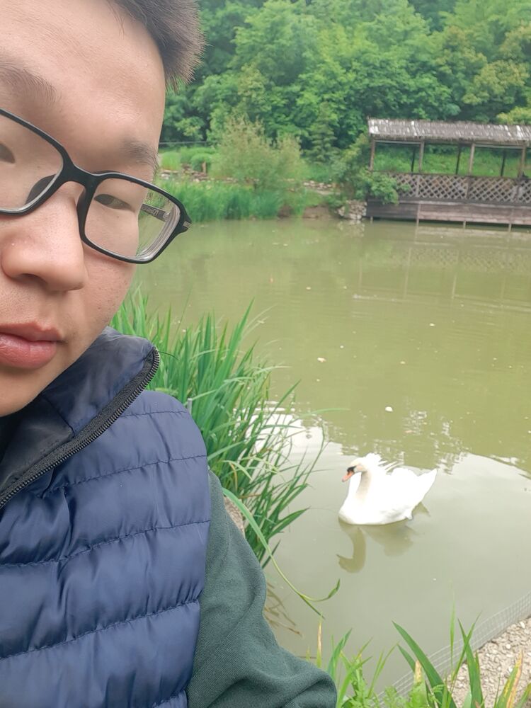 ���� 51738912 ����� �������, 24 ����, ���� ���������� � ������