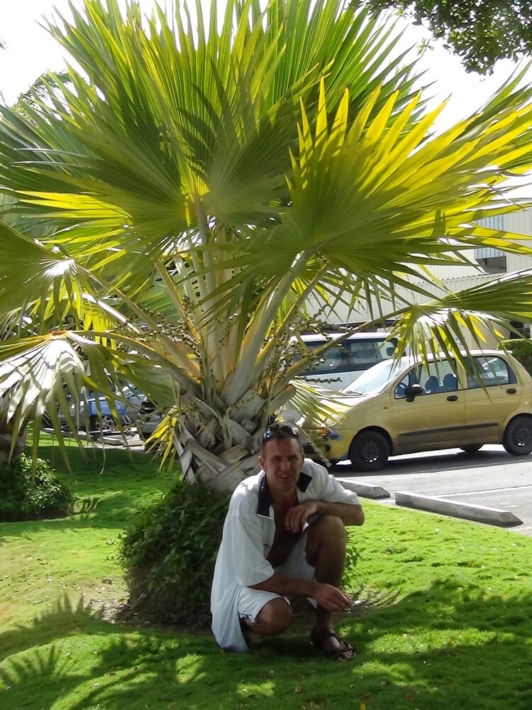  ,   , 51 ,  