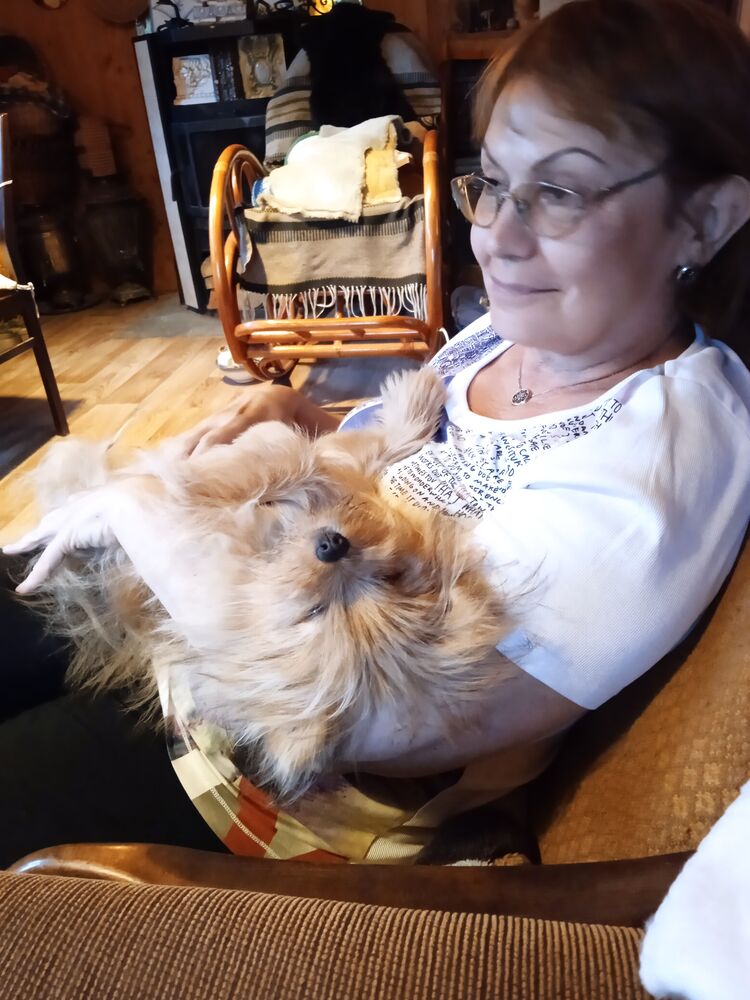 ���������� ������, ���� ������� �����, 62 ����, ������������ ��� ����� � ���������, c�������� ���������