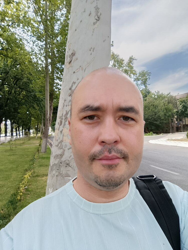  44578782  , 38 ,    
