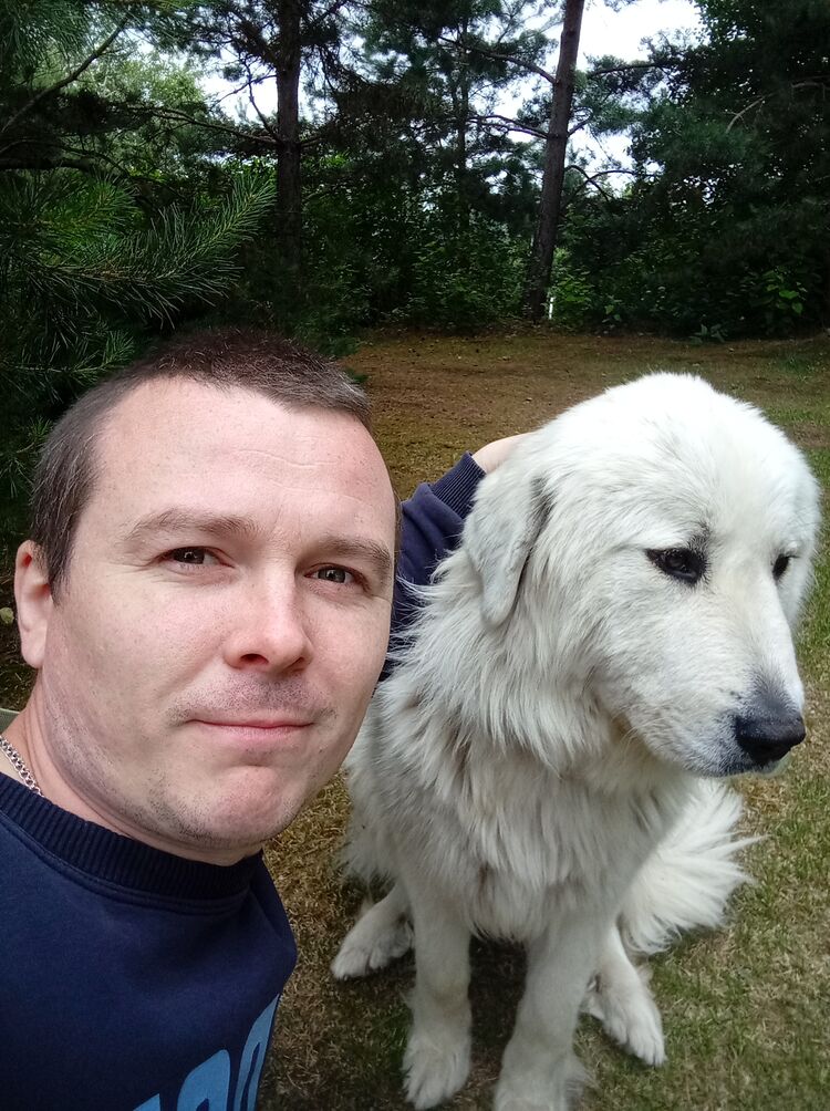 ���� 28818692 ������� ���, 36 ���, ���� ���������� � �������������